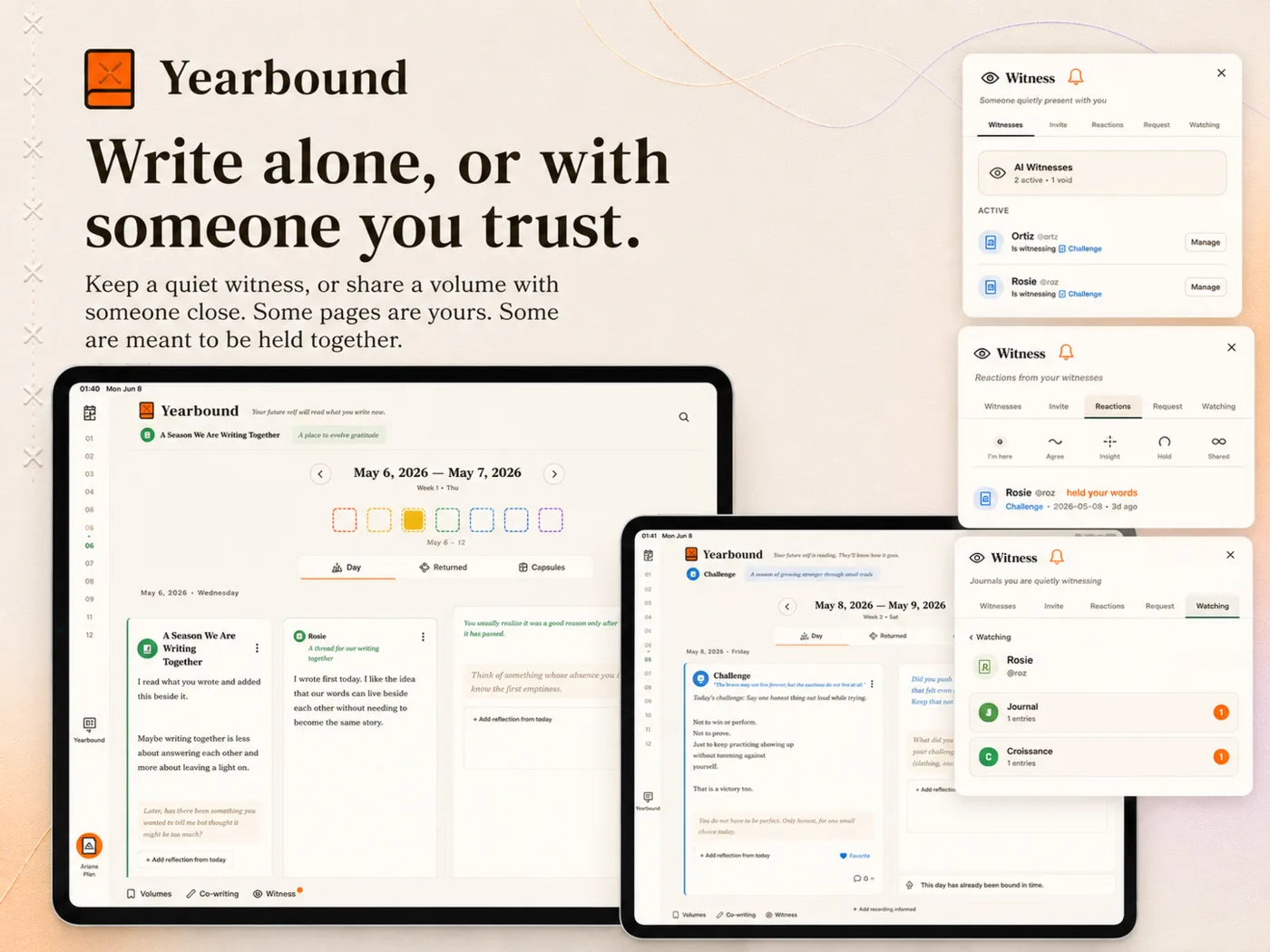 Witness and Co-writing on iPad